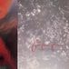 Tiny 4Ad Tiny Dynamime / Echoes In A Shallow Bay