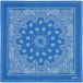 Barts Foulard Rigga Femme