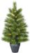 Black Box Trees Glendon Sapin artificiel avec éclairage - Sapin H90 x Ø51 cm - Sapin artificiel en pot - Vert