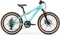 Bikestar Kinderfiets MTB Staal 7speed 20inch Mintgroen