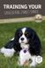 TRAINING Libri GmbH Training Your Cavalier King Charles Spaniel Paperback