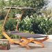 Prolenta Maison Exclusive Ligbed met zonnedak, 100x190x134 cm, massief hout, antraciet