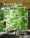 Beyond Profits: Legal Frameworks and Global Standards in Corporate Social Responsibility