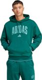 adidas Sportswear Collegiate Hoodie Heren Groen
