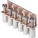 Wieland Electric Z7.281.0627.0 Verbindingsstuk Schroefklem 1 stuk(s) Piece
