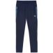 Puma Broek Puma Team Cup