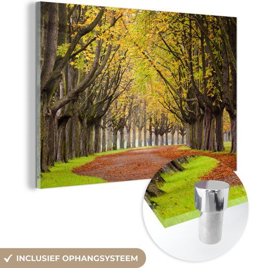 MuchoWow® Glass Painting 150x100 cm - Acrylic Glass Painting - Chestnut Trees in Autumn - Photo on Glass - Paintings