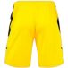Joma Korte Game