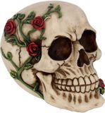 Nemesis Now Figuur Rose from Beyond Skull 15cm, Ivoor