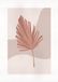 Komar Muurafbeelding - Minimalist Leaf Lover - Grootte: 50 x 70 cm - Poster, Kunstdruk, Decoratie, Woonkamer, Slaapkamer
