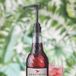 Sweetbird Pomp voor siropen