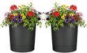 Mica Decorations Pot Coco - 2x - avec soucoupe - anthracite - H37 x D35 cm - plastique - extérieur