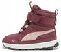 Puma Evolve Boot AC+ PS 39264504