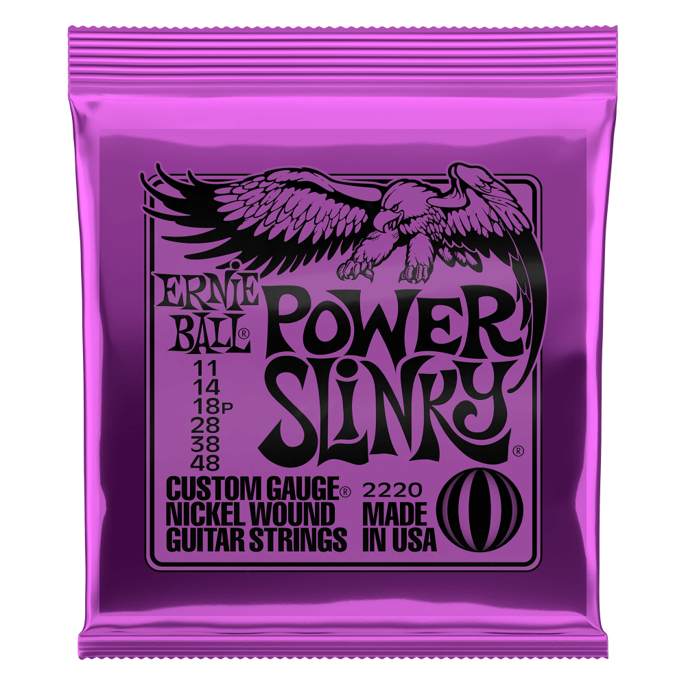 Ernie Ball P02220