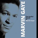 Coast2Coast Marvin Gaye - The Soulful Moods Of Marvin Gaye (LP) (Coloured Vinyl)