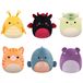 Squishmallows 19 cm P20 CDU Asst B