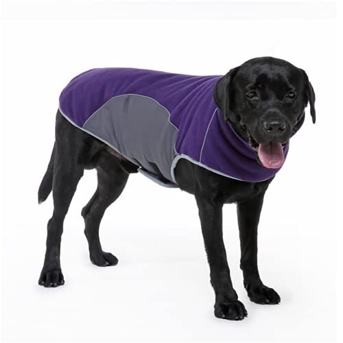 JRKJ Winter Dog jas kleding Waterdichte reflecterende grote hondenjas Soft High Collar Dog Vest voor Medium Large Dogs S-2XL