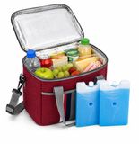 Eurocatch Koeltas 31x20x27 cm - Inclusief 2 Coolpacks - Grote Geïsoleerde Coolbag - 600D Oxford