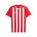 teamLIGA26 Puma teamLIGA26 Gestreepte Jersey
