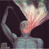 Bertus Distributie Bruce Cockburn Stealing Fire LP