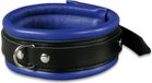 XXDREAMSTOYS Choker/Halsband Leather- Neck Zwart/Blauw
