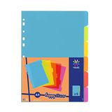 Viquel Set van 6 tabbladen van kunststof - A4-formaat - Neon kleur