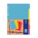 Viquel Set van 6 tabbladen van kunststof - A4-formaat - Neon kleur