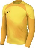 Nike Dri-Fit Gardien IV Sportshirt Kinderen Unisex Geel/Oranje Lange Mouw Maat 140