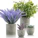 Unyqoos® Succulentes artificielles, set de 4 – plantes artificielles réalistes en plastique avec pot en papier, faciles d'entretien et résistantes aux intempéries, adaptées à une utilisation intérieure et extérieure