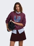 ONLY ONLLAUREN L/S O-NECK CS JRS Dames Trui - Katoen - XS - Fig