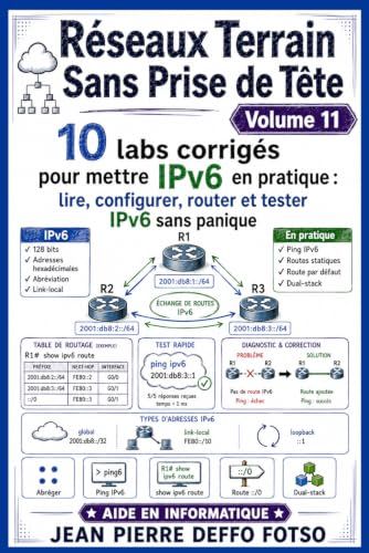 Réseaux Terrain Sans Prise de Tête Volume 11: 10 labs corrigés pour mettre IPv6 en Pratique : lire, configurer, router et tester IPv6 sans panique