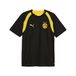 PUMA Maillot d’entraînement slim Borussia Dortmund Homme, Accessoires, Noir, XS