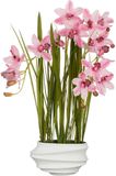 Mica Decorations Kunstplant Cymbidium - 49x40x81 cm - Polyester - Roze
