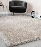 Mia's Teppiche 80123 Fiona Vloerkleed woonkamer, slaapkamer beige 80x150 cm hoogpolig