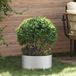 vidaXL Plantenring 5 stuks Zilver Staal 40 x 40 x 20 cm