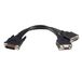 StarTech.com StarTech 20 cm LFH-59 Mannelijk naar Twee Vrouwelijk VGA DMS-59 Kabel