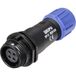 Weipu SP1311 / S 4 I Connecteur circulaire Bus, droit Nombre total de pôles: 4 Série (connecteurs circulaires): SP13 1 pièce(s)