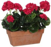 Mica Decorations Geranium Kunstplant in Balkonbak - Donkerroze