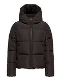 ONLY - ONLJUTA SHORT PUFFER OTW Dames Jas
