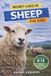 Secret Libri GmbH Secret Lives of Remarkable Animals for Kids- Secret Lives of Sheep for Kids