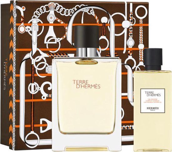 Hermès Terre d'Hermès Eau de Toilette Spray 100ml Set 2 stuks