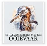 Bellatio Decorations Cadeau tegel de familie Ooievaar - het leven is beter met Ooievaar - waterverf - 15 cm
