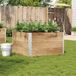 Maison Exclusive - Jardinière, 100x100 cm, bois massif, pin