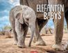 Elefantenbabys Weingarten Elefantenbabys Kalender 2027