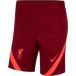 Liverpool FC Short Liverpool FC Dynamic Fit Strike 2021/22