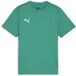 Puma Kindershirt TeamGoal Jersey Jr 658637 - Sport Green-Puma White-Power Green - Maat 116