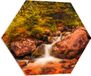 Plaque de mousse PVC Hexagone - Petite cascade à travers la forêt d'arbres et de rochers - 80x69,6 cm Photo sur Hexagone