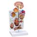 GPI Anatomicals 4000 bloeddrukmodel