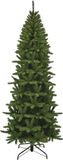 Triumph Tree Edelman B.V. Matterhorn Pilar kerstboom groen 1189 takken 230 cm