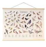 Vogelbescherming Nederland CJ Wildlife Tuinvogels Wandposter